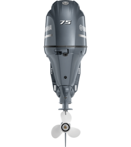 75hp