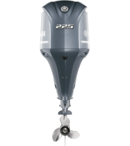 225hp