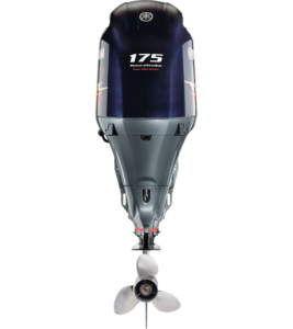 175hp