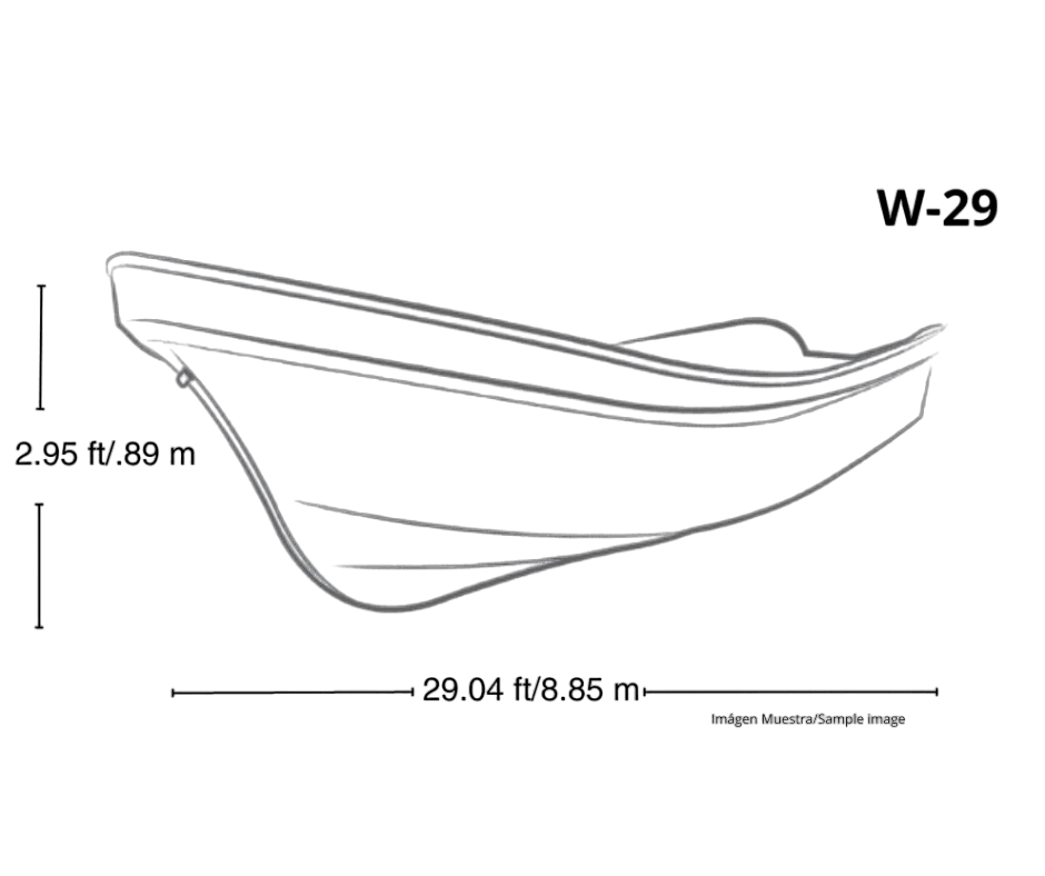 Panga W29 Boat